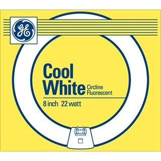 GE Cool White 22 Watt / 8" Circline Fluorescent   #98038