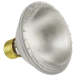 65W   75W Light Bulbs
