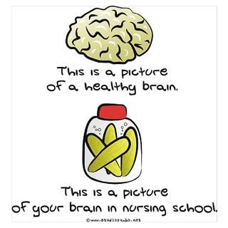 Wall Art  Posters  Nursing School Brain Poster