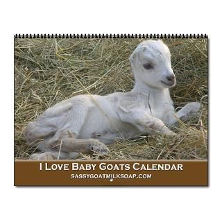 2013 I Love Baby Goats Wall Calendar for 2013