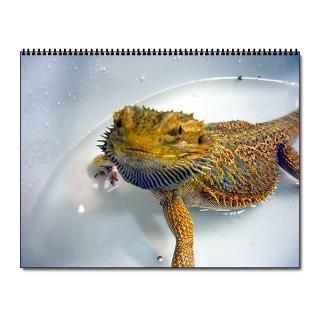 > Annapolis Bearded Dragons Home Office > ABD 2009 Wall Calendar