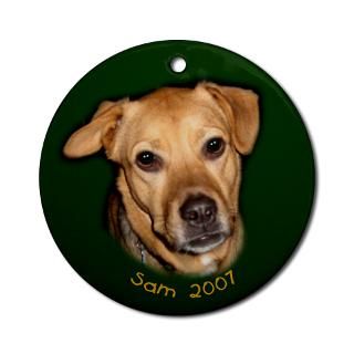 Sam 2007 Custom Ornament