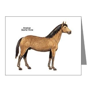 Horse Note Cards  American Quarter Horse Note Cards (Pk of 10