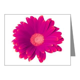 Baby Girl Note Cards > Electric Pink Gerbera Note Cards (Pk of 10