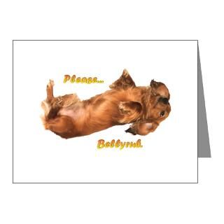 Gifts  Animals Note Cards  Bellyrub Doxie Note Cards (Pk of 20