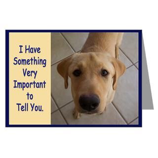Breed Greeting Cards > Yellow Lab Birthday Greeting Cards (Pk of 20