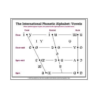 IPA Vowel Chart Large Poster (29 x 23)
