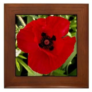 Framed Tile Red Poppy # 38 for $15.00