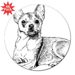 Chihuahua : Pet Drawings