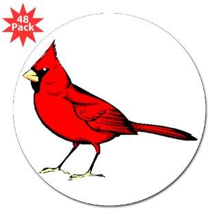 Cardinal : Funny Animal T Shirts