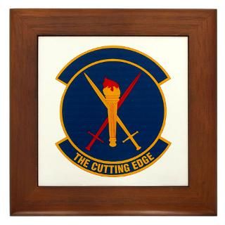 323d Training Squadron  The Air Force Store