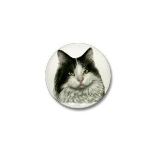 Marie   Black and White Long Hair Cat  PetsPictured Gear and