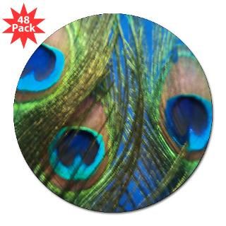 Peacock Feather Stickers  Car Bumper Stickers, Decals