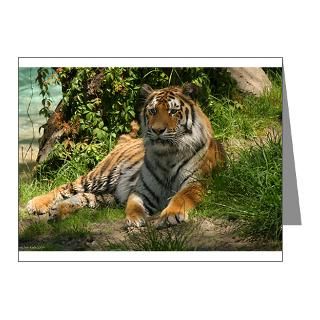Tiger Thank You Note Cards