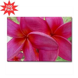 mexican plumeria rectangle magnet 100 pack $ 178 19