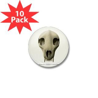 Bear Skull Mini Button (10 pack)