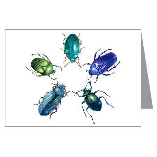 Beetle Stationery  Cards, Invitations, Greeting Cards & More