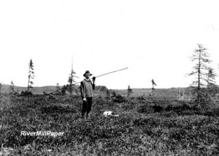 Moss Heath Great Sidney Bog Augusta Kennebec Maine 1906