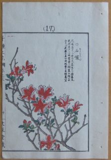 Kono Bairei Japanese Woodblock Flower Print I270 1900