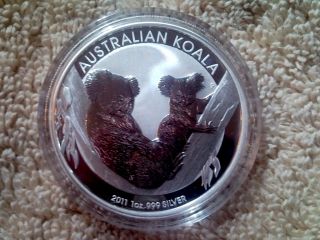 2011 AUSTRALIA KOALA
