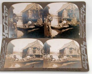 Stereoviews St Louis Worlds Fair 1904 Penny Divers Philippine