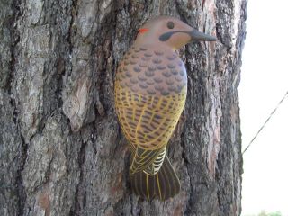Laurie J. McNeil Handcarved and Painted Woodpecker Decoy Northern