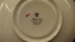 Adderley Fine China Saucer Roses Lawley England 1789 6 x 6