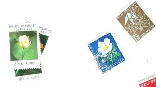 Lot Vintage 1959 International Postage Stamps Mail