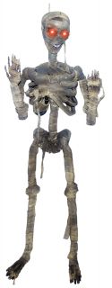 Hanging Lifesize Mummy Skeleton