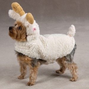 Zack Zoey Lil Sheep Halloween Dog Costume MD