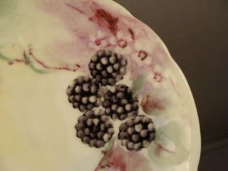 Louise Bavaria Porcelain H P Berries Plate