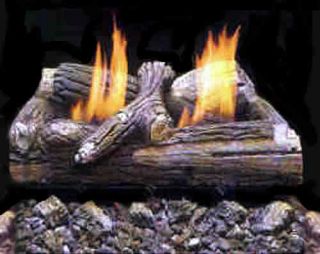 blowout with this great deal on a gas fireplace log set from monessen