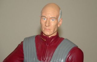 Star Trek Captain Jean Luc Picard Borg Queen 12 Figurines Playmates