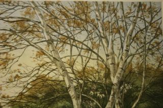 Kathleen CantinWhite Birches Artists Proof