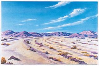 Betty Lukens Small Desert Overlay Flannel Board Felt