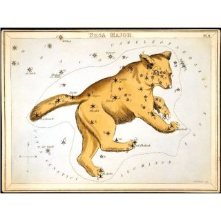 Ursa Major Greater Bear Big Dipper Constellation Stars