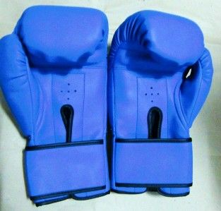 Manny Pacquiao 1 Pair Boxing MP8 Gloves Blue Authentic Autograph COA