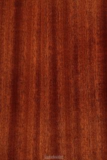 Wechter Maple Lake DN 2411CE Natural Dread Mahogany 18