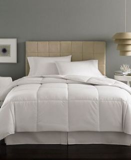 Bed & Bath  Bedding Basics  Down Comforters