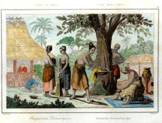 Freycinets Voyage Autour du Monde  1828  TIMOR ISLAND, DOMESTIC