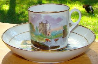 Hall Historical Scenic Porcelain Cup Saucer Twickenham Meadows