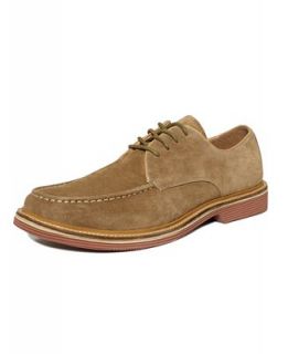 Tommy Hilfiger Shoes, Tad Suede Lace Up Shoes