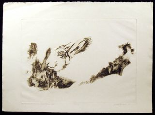 Petzoldt A Long Eared Burrowing Lagomorph Signed Numbered Etching