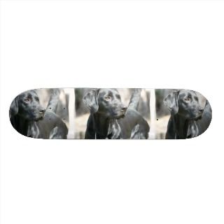 Alert Black Labrador Retriever Dog Skateboard