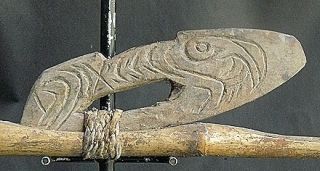 Spear Thrower Middle Sepik River Papua New Guinea