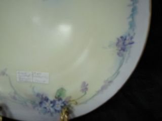 Bavarian Porcelain Handpainted Texas Violets Plate