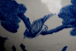 Large Chinese Antique Blue and White Porcelain Vase Phenix Design L123