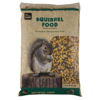 Squirrel Food and Many Squirrel Food Brands