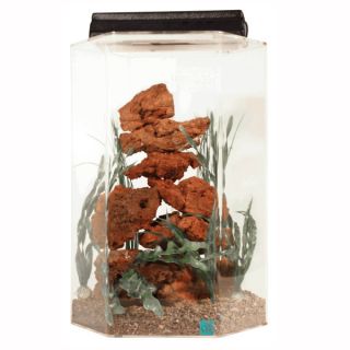 Designer Fish Tanks & Elegant Aquariums