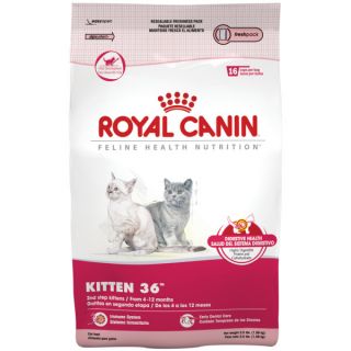 Royal Canin Feline Health Nutrition™ Kitten 36™ Food for Cats   Food   Cat